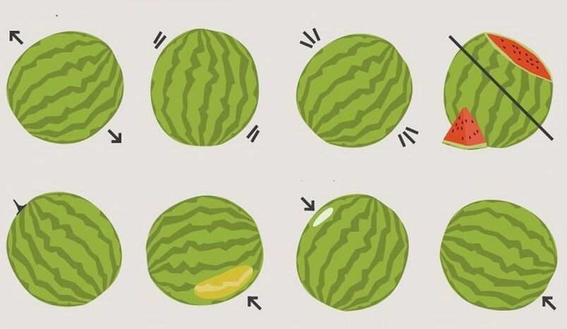 Қарбызды қалай таңдауға болады